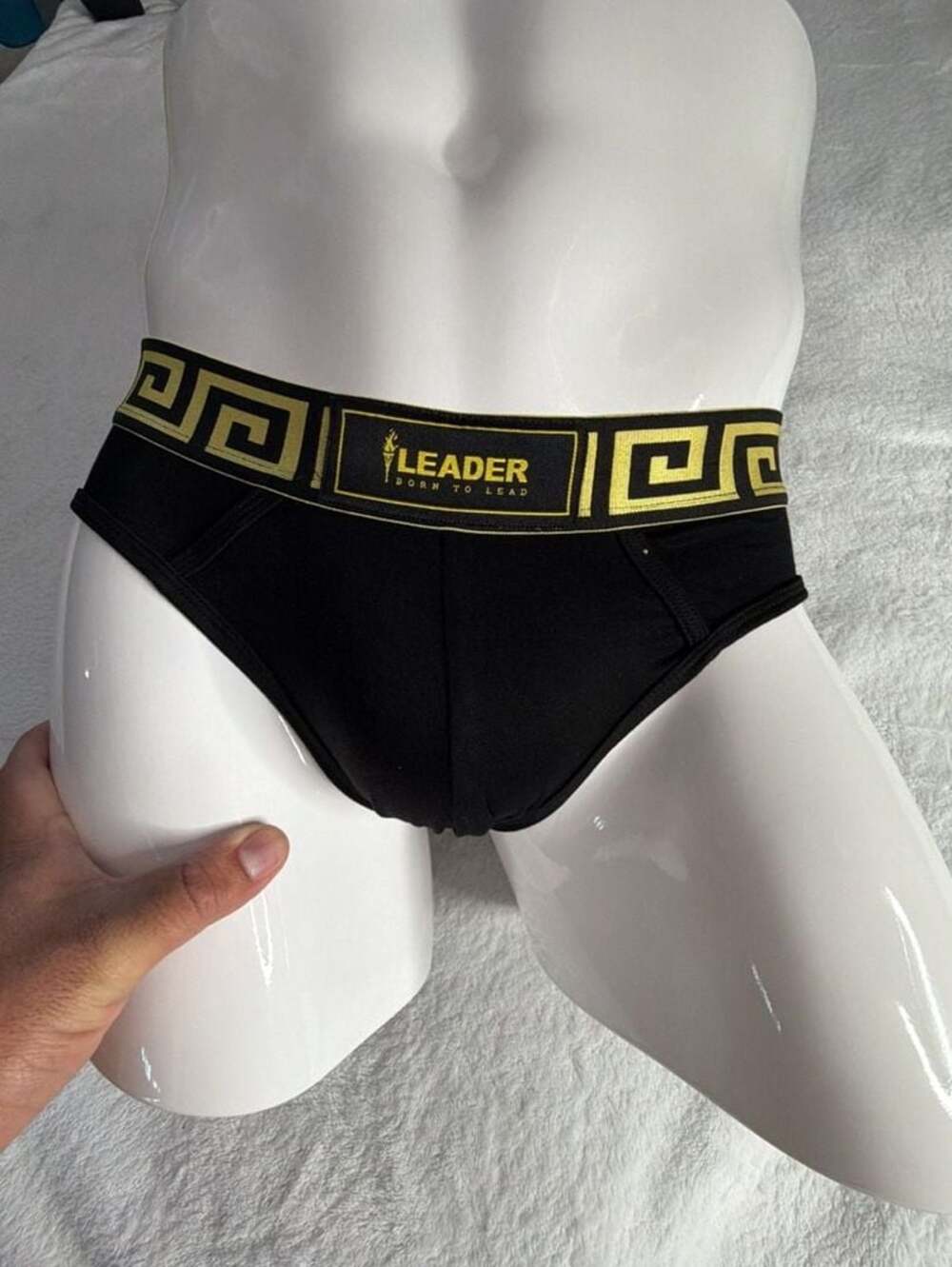 LEADER Invictus Briefs Black/Gold Size L